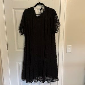 Little black lace dress from torrid! Super cute and flattering!